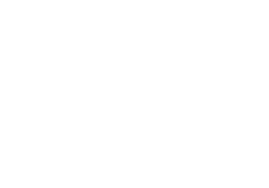 cisco_white-3